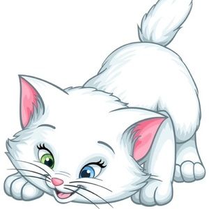 Meet your Posher, Briana